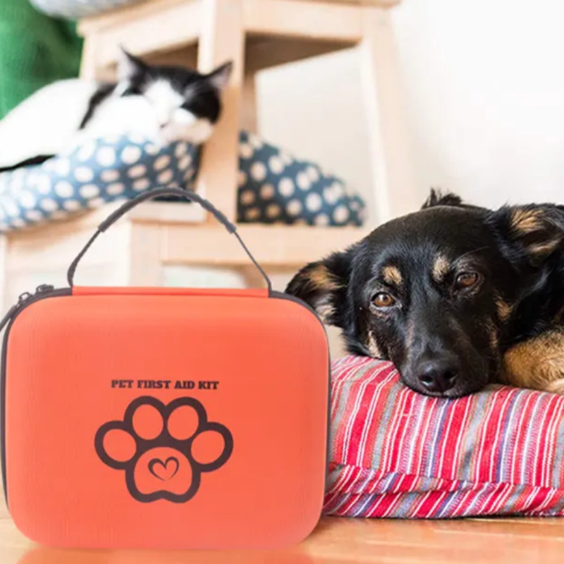 Pet First Aid Kit для кошек против собак: что вам нужно знать