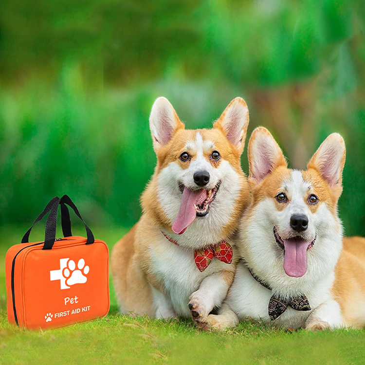Портативная аптечка первой помощи для ухода за домашними животными, сумка для первой помощи для домашних животных, собак и кошек, лошадей, домашних животных с коллой, для чрезвычайных ситуаций в путешествиях